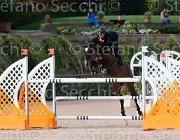 ARIOLDI F AGADIR ItaAss2013- S5 1258 : AGADIR, ARIOLDI FRANCESCA, Campionati Italiani 2013, Cattolica, Horse Riviera Resort, foto di Stefano Secchi ©